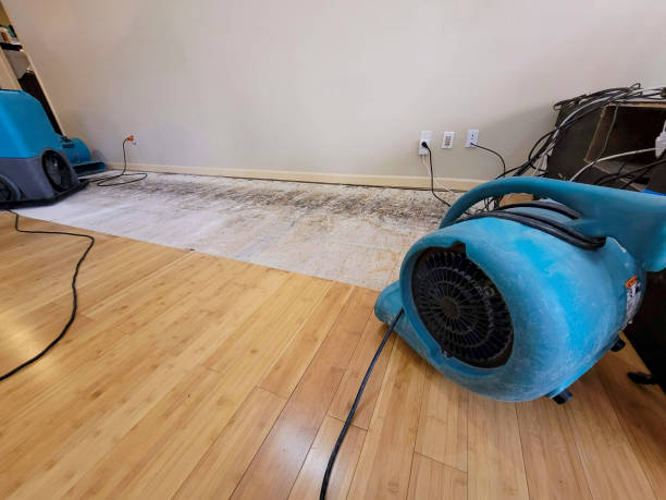 Professional Basement Flood Cleanup technician working in Natick, MA